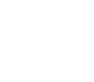 Вариативность